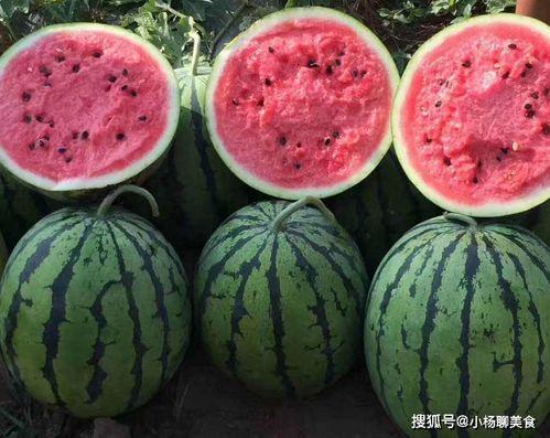 不吹不黑文明吃瓜