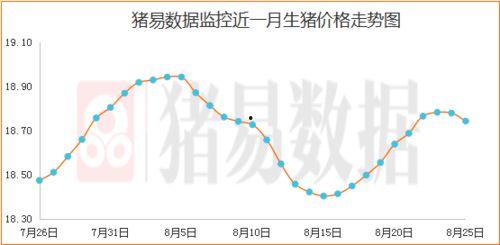 柏格网纹瓜今日价格走势,今日走势解析