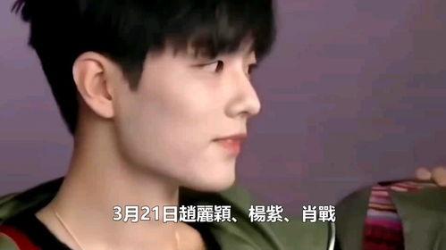 娱乐圈吃瓜肖战赵丽颖,揭秘幕后吃瓜大揭秘