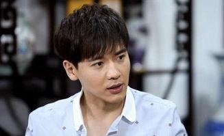 人设崩塌的明星网红,揭秘人设崩塌的明星网红陨落之路