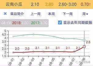 今日小瓜走势预测图最新,洞察市场脉搏，揭秘未来趋势