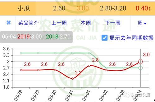 今日小瓜走势预测图最新,洞察市场脉搏，揭秘未来趋势