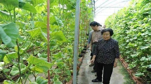 广德吃瓜最新事件爆料是真的吗