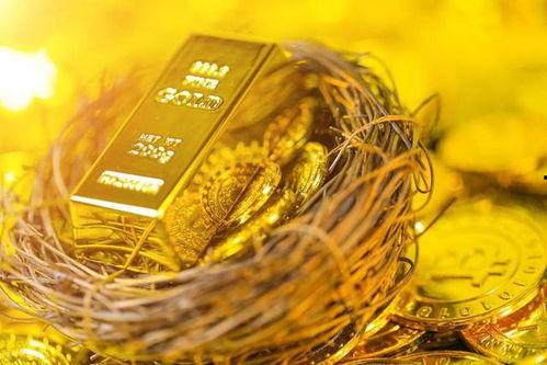 今日瓜州黄金价格,今日行情一览