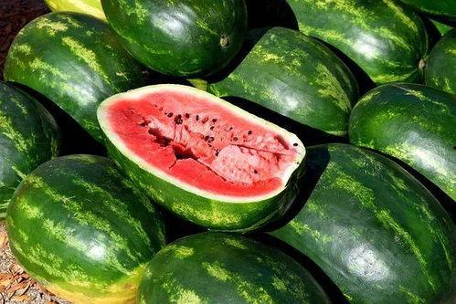 吃瓜素材爆料网站大全下载,一网打尽热门爆料网站大全