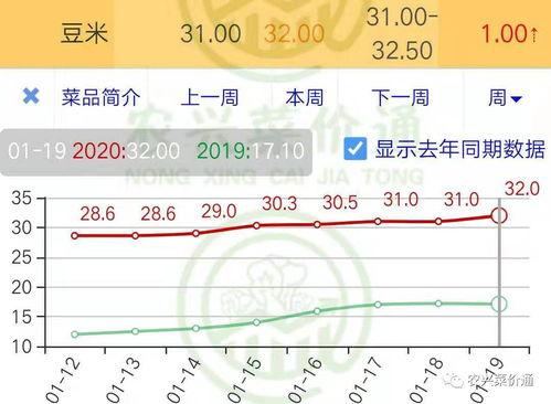 小圆瓜今日价格行情走势,今日行情走势解析