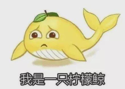 飞瓜搞笑热门音乐有哪些,笑点与旋律的完美融合