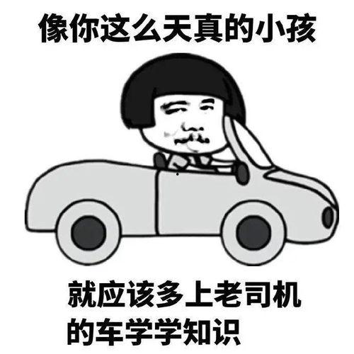 吃瓜黑料老司机不打烊在线,吃瓜黑料老司机不打烊，独家爆料持续放送