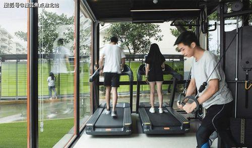 精品小吊瓜今日价格走势,今日走势解析