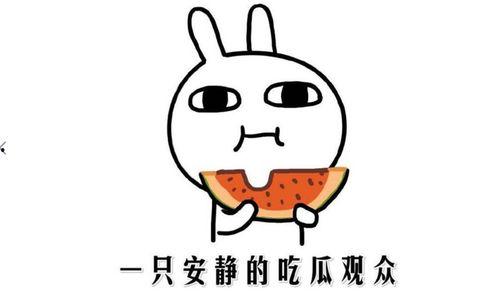 抖音上的热门瓜,揭秘网络红人的背后故事