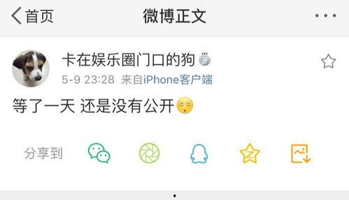 吃瓜大队爆料的个人主页,个人主页背后的惊人真相