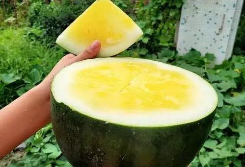 近些年的热门大瓜,盘点近年热门大瓜事件