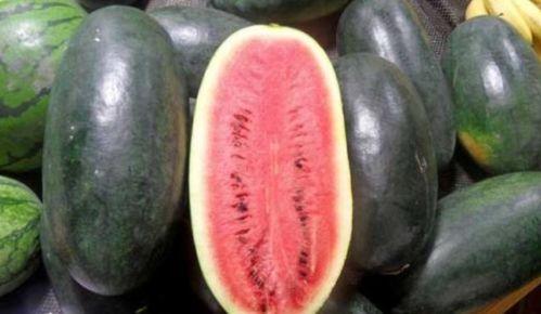 毛瓜叶片头有点黑可以吃吗,食用安全解析