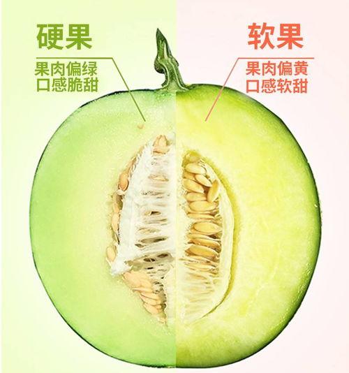 网纹蜜瓜热门视频网站,甜蜜滋味，视觉盛宴