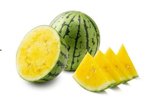 热门的瓜有哪些