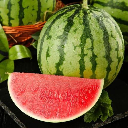 热门的瓜有哪些