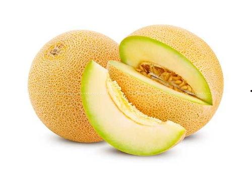 嘉兴今日哈密瓜价格查询