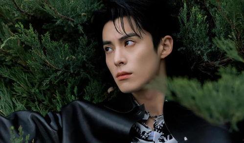 娱乐圈吃瓜爆料白鹿王鹤棣