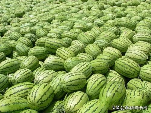 吃瓜入口热门大瓜