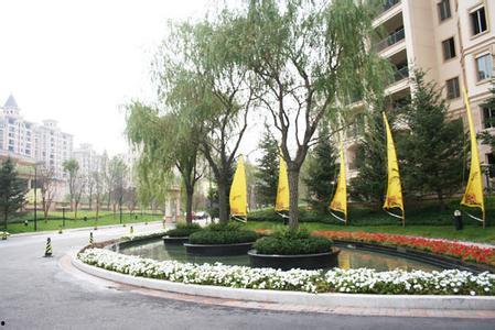 明星网红最多的小区,揭秘明星网红最多的小区风采”