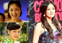 明星网红对比现场视频