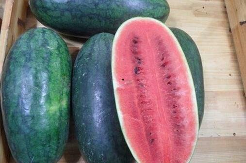 免费黑瓜吃料网在线,揭秘美食界的宝藏之地