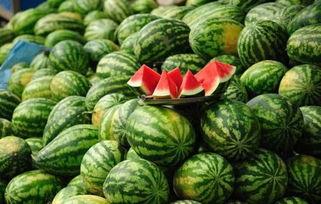 长春近期热门吃瓜事件真相,近期热门事件的背后真相揭晓