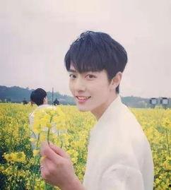 吃瓜博主爆料杨紫肖战视频,吃瓜博主揭秘幕后真相