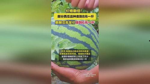 广州今日麒麟瓜批发价,品质佳价优，市场走俏”