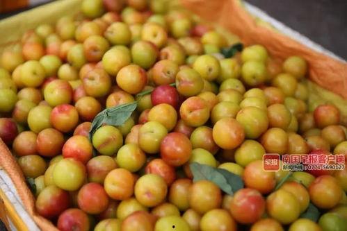 往年热门吃瓜事件,2023年度十大热门吃瓜事件大盘点