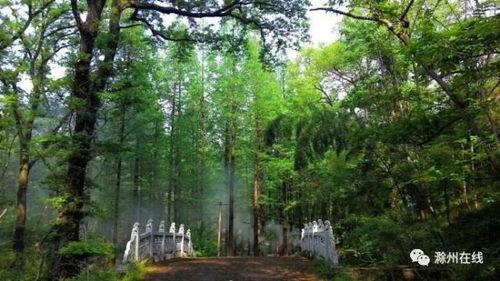 近期热门吃瓜事件滁州