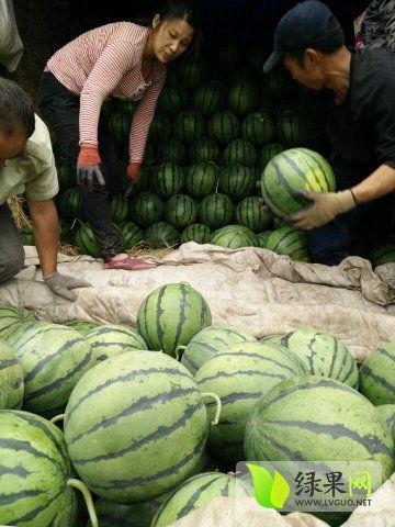 近期热门吃瓜事件滁州