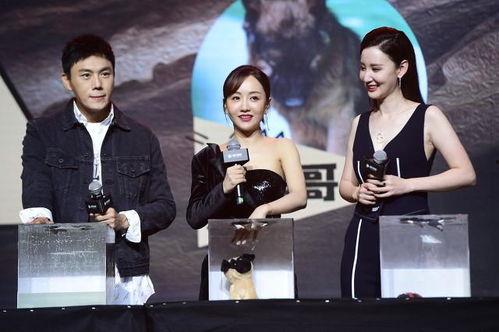 娱乐圈吃瓜爆料连载小说,揭秘明星背后的秘密与真相