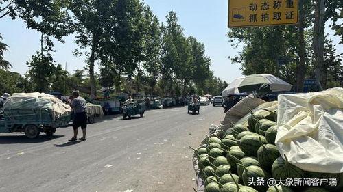 韩寺小吊瓜今日价格,价格行情一览”