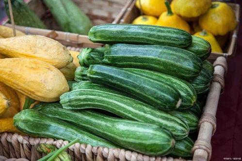 山东寿光今日哈密瓜价格,新鲜上市，实惠之选