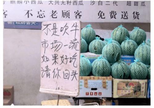 摘吊瓜热门文案,品味田园生活的甜蜜诱惑