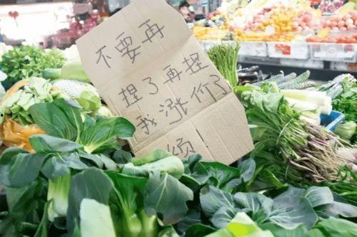 摘吊瓜热门文案,品味田园生活的甜蜜诱惑