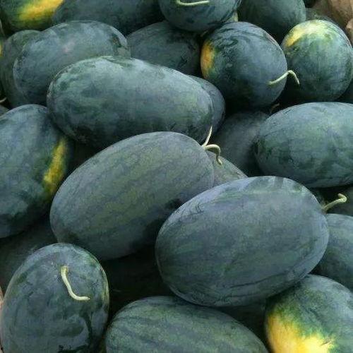 黑hm881吃瓜,揭秘网络吃瓜背后的真相与争议