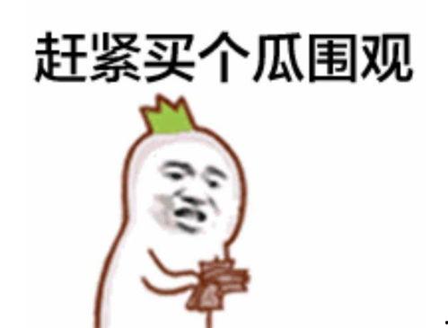 招黑吃瓜群众视频大全最新,视频大全背后的热点事件与争议焦点