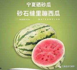 江西南昌今日热瓜价格,新鲜上市，价格波动一览