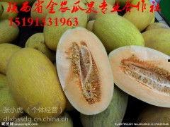 哈密瓜价格今日价南京,今日南京哈密瓜价格行情分析