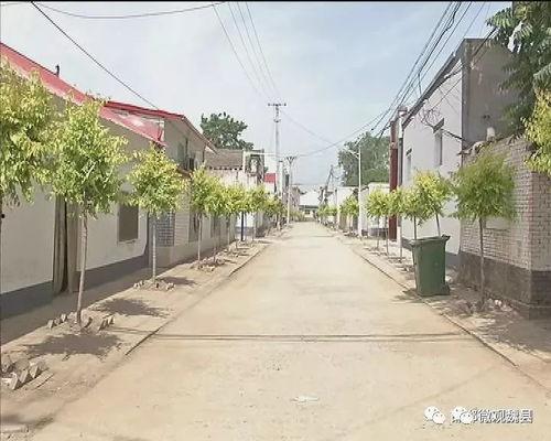 上热门魏县的瓜,探寻热门瓜果的甜蜜奥秘