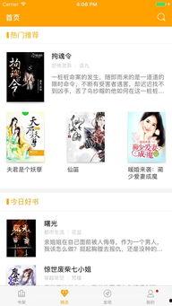 飞瓜热门爆款小说推荐,揭秘热门小说背后的故事与魅力